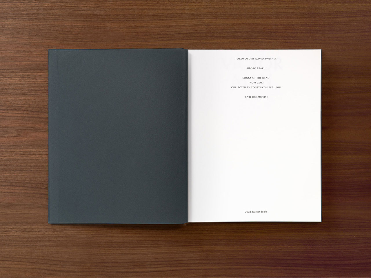 Victor Man, The Absence That We Are, David Zwirner Books