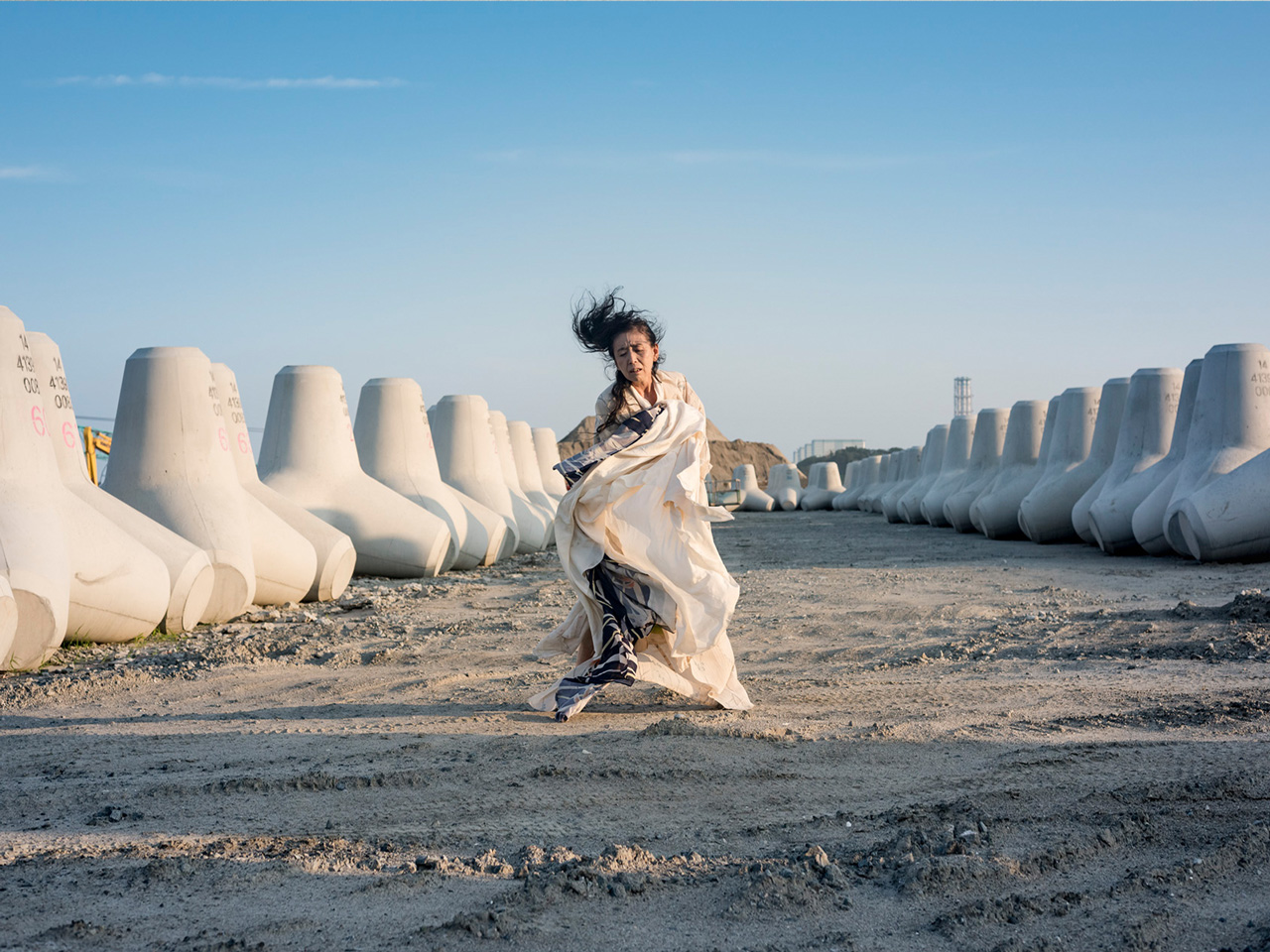 Eiko Otake: A Body in Fukushima