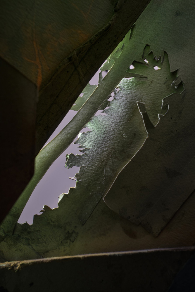 Thomas Demand, Tannhäuser XVI, 2026, Pigment print, 56¾ x 37⅞ inches; 144 x 96 cm, © Thomas Demand, Courtesy the artist and Matthew Marks Gallery