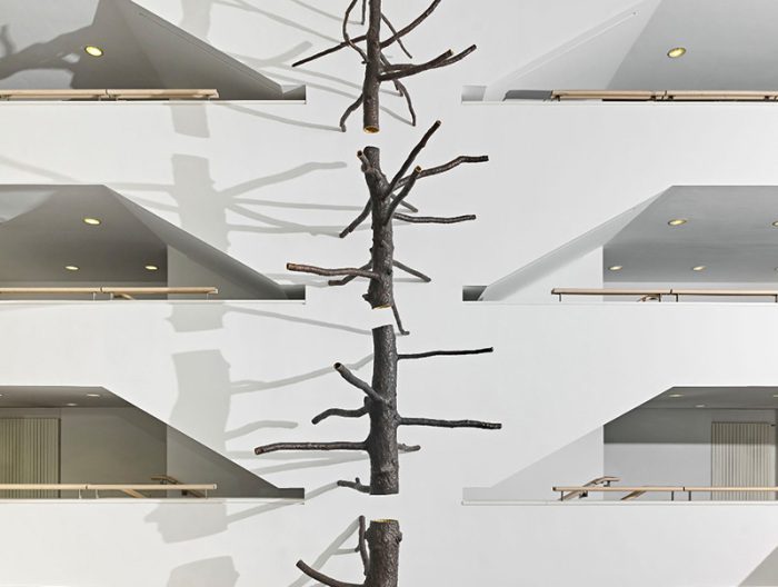 Giuseppe Penone, Spazio di luce, 2008, Private Collection, Photo: ® Mart, Photographic & Multimedia Archive/Carlo Baroni