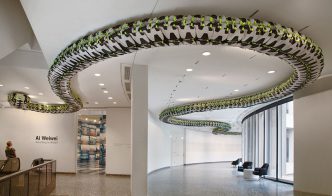 Ai Weiwei