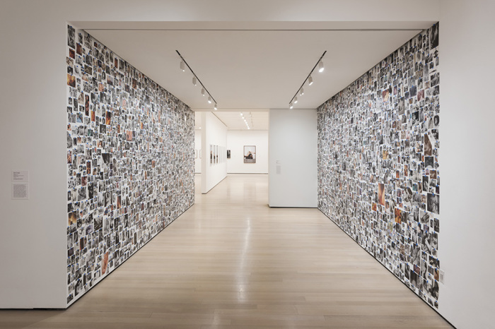Installation view of Carmen Winant’s “My Birth”, 2018, installed as part of Being: New Photography 2018 at The Museum of Modern Art-New York, 18/3-19/8/18, © 2018 The Museum of Modern Art, Photo: Martin Seck