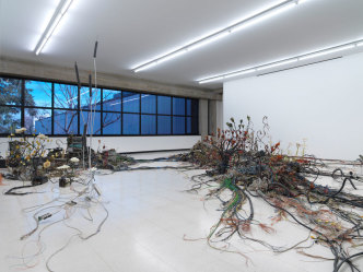 Krištof Kintera, From the exhibition Postnaturalia, 2017, Collezione Maramotti, Reggio Emilia, 2019, Photo Dario Lasagni