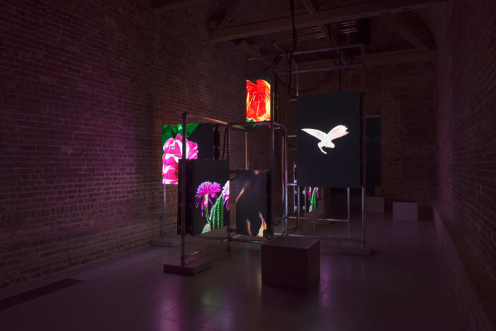 Hito Steyerl, Power Plants Installation view, 11/4-6/5/19, Serpentine Galleries Design by Ayham Ghraowi, Developed by Ivaylo Getov, Courtesy of the Artist, Andrew Kreps Gallery (New York) and Esther Schipper Gallery (Berlin), Photo: © 2019 readsreads.info