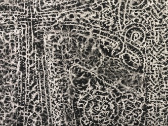 Pascal Convert, Ecorce de Pierre. Tombe des Princes d'Hagphat (Detail), 2019, 95 x 213 cm, © galerie Eric Dupont-Paris