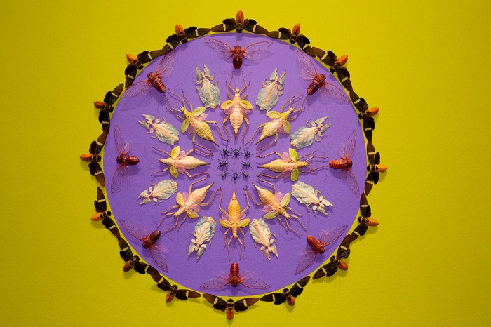 Jennifer Angus, The Grasshopper and the Ant’ and Other Stories as Told by Jennifer Angus, 5,000 dried exotic insects, Installation view Museum of Fine Arts, St. Petersburg, 2020, Courtesy the artist and Museum of Fine Arts