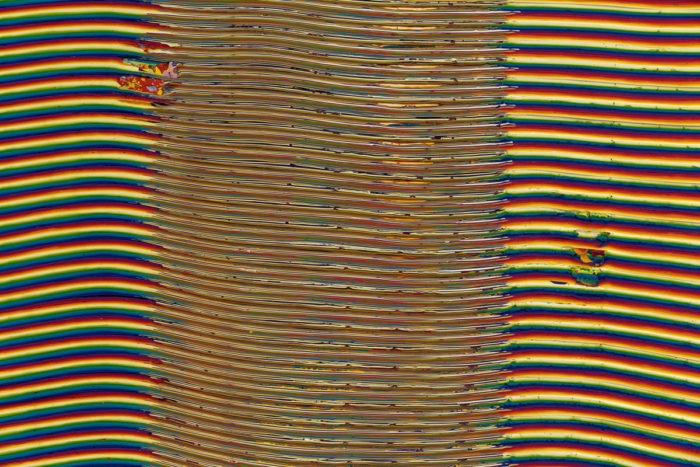Loriel Beltrán, Full Spectrum Contrast (detail), 2022, Latex paint on panel, 90 x 60 x 2 inches, 228.6 x 152.4 x 5.08 cm, © Loriel Beltrán, Photo by Zachary Balber, Courtesy the artist and Lehmann Maupin Gallery