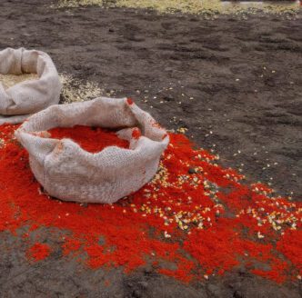 Solange Pessoa, Bags – Bregenz version(detail), 1994–2023, (detail) Courtesy of the artist and Mendes Wood DM, São Paulo, Brussels, Paris, New York. Copyright The Artist. Photo by Markus Tretter