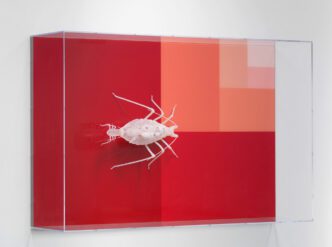 Carsten Höller, Divisions (Rose-grain Aphid and Surface), 2017, Aphid: Epoxy resin, polyurethane resin, fiberglass, color pigment, steel assembly,Vitrine: Paint behind glass, stainless steel frame, felt, plexiglass, 64 x 99 3/8 x 24 inches (162.4 x 252.4 x 60.8 cm), unique edition, © Carsten Höller, Photo: Robert McKeever, Courtesy Gagosian