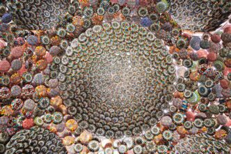 Subodh Gupta, with Baxtiyor Nazirov, Salt Carried by the Wind, 2024–2025. Photo: Adrien Dirand. Courtesy of Uzbekistan Art and Culture Development Foundation