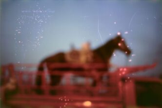 Nan Goldin, My horse Roma, Valley of the Queens, Luxor, Egypt, 2003, © Nan Goldin