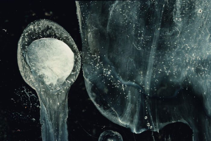 Andres Serrano, Frozen Sperm II (Bodily Fluids), 1990, Cibachrome, silicone, plexiglass, wood frame, 114,3 x 165,1 cm (45 x 65 inches), Edition of 4 + 2 AP, © Andres Serrano, Courtesy the artist and Galerie Nathalie Obadia