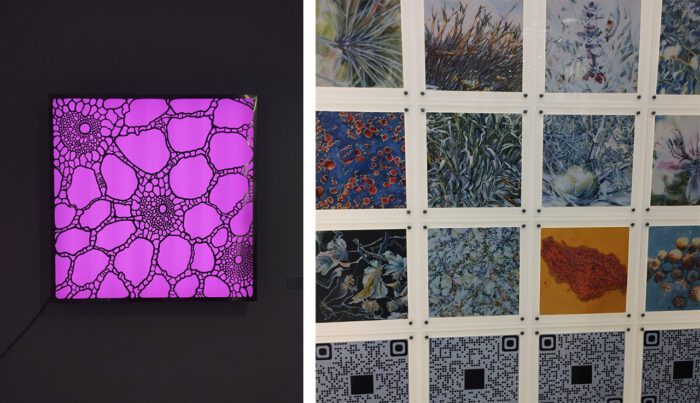 Left: Antonia Papatzanaki, Structural 36, 2022, © Antonia Papatzanaki, Photo: Valia Katsimpa Right: Maro Karagkounaki, Meta – Nature (detail), 2025, © Maro Karagkounaki, Photo: Valia Katsimpa