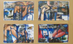 CAVFHACF00514_SEQ_002_R