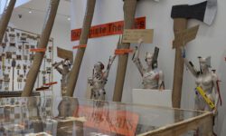 CAVFHACF00515_SEQ_016_R