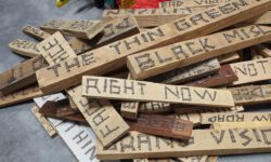 CAVFHACF00515_SEQ_025_R