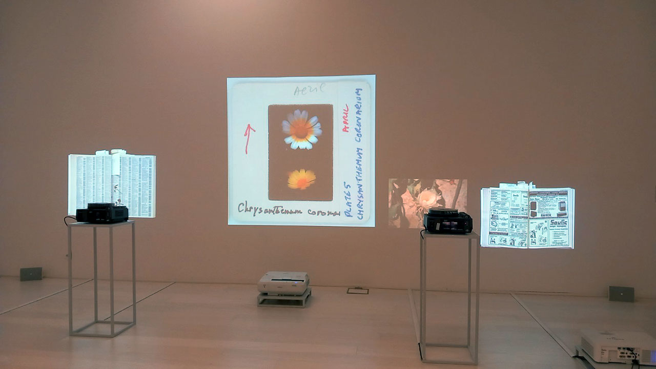 Tools for Cataloguing a Dry Garden (2025), Catriona Gallagher