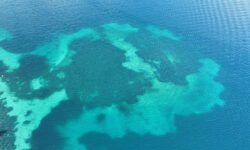 00Hito-Steyerl-The-Island-Image-CC-4-0_1524-×-900