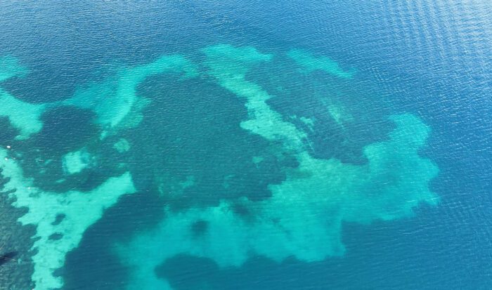 Hito Steyerl, Image CC 4.0. Courtesy of the artist, Andrew Kreps Gallery, New York and Esther Schipper, Berlin/Paris/Seoul