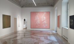 Installation-view.-1