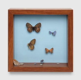 Elisheva Biernoff, Shadow Box, 2024-2025, Glazed ceramic, acrylic, and plywood in hand-painted wood grain frame, 8 3/4 x 8 3/4 x 2 3/8 inches (22.2 x 22.2 x 6 cm), © Elisheva Biernoff, Courtesy the artist and David Zwirner Gallery