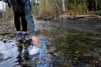 Inez Londoño, The Paper Boat, 2025,© & Courtesy the artist
