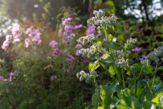 Danh Vo — πνεῦμα (Ἔλισσα), 2026. Stedelijk Museum Amsterdam