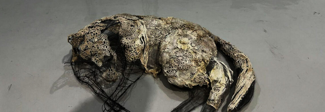 Hyacinth Metzikoff, Corsets, Installation view, ASFA – March 2026 Degree Shows- Athens, Photo: © & Courtesy Vicky Trochidou