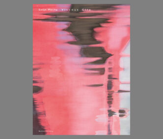 Evelyn Plaschg, Viscous City, Revolver Publishing