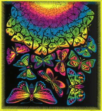 Personality Posters of Canada, Creation of Butterflies , Blacklight poster, 660x600 mm Maurits Collection, Italy, All M.C. Escher works © 2026 The M.C. Escher Heritage, Baarn, The Netherlands, All rights reserved www.mcescher.com