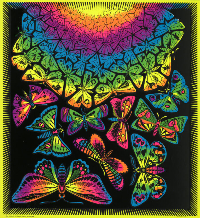 Personality Posters of Canada, Creation of Butterflies , Blacklight poster, 660x600 mm Maurits Collection, Italy, All M.C. Escher works © 2026 The M.C. Escher Heritage, Baarn, The Netherlands, All rights reserved www.mcescher.com