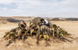 Monica de Miranda, Earthworks, 2024, courtesy the artist
