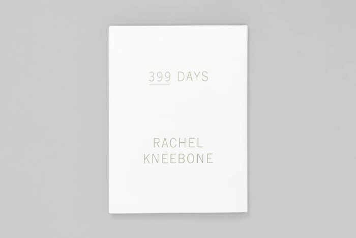 Rachel Kneebone, 399 Days, White Cube Books'