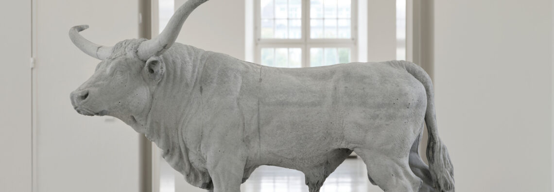 Charles Ray: Bull, 2026, Photo: Nicolas Wefers, (Installation view Fridericianum, Kassel), © Charles Ray, documenta und Museum FrideriCharles Ray: Bull, 2026, Photo: Nicolas Wefers, (Installation view Fridericianum, Kassel), © Charles Ray, documenta und Museum Fridericianum gGmbHcianum gGmbH