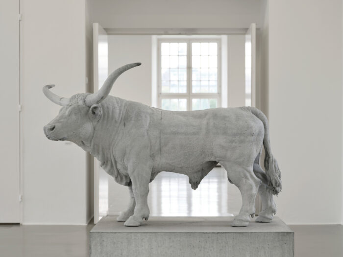 Charles Ray: Bull, 2026, Photo: Nicolas Wefers, (Installation view Fridericianum, Kassel), © Charles Ray, documenta und Museum FrideriCharles Ray: Bull, 2026, Photo: Nicolas Wefers, (Installation view Fridericianum, Kassel), © Charles Ray, documenta und Museum Fridericianum gGmbHcianum gGmbH