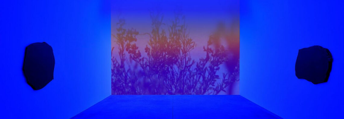 Cauleen Smith, Congo Blue, 2026; All the Stars are Closer, 2026; All the Stars Approach You, 2025, Polished black volcanic glass, two-channel digital video digitized 16mm, 7 min 27 sec, color, sound, Overall dimensions variable, © Cauleen Smith, courtesy the artist and David Zwirner Gallery
