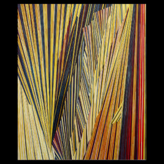Olaf Holzapfel, Fin de siècle , 2026, Rye straw on wood and India, ink 115 x 95 cm, © Olaf Holzapfel, Courtesy the artist and Xippas Gallery