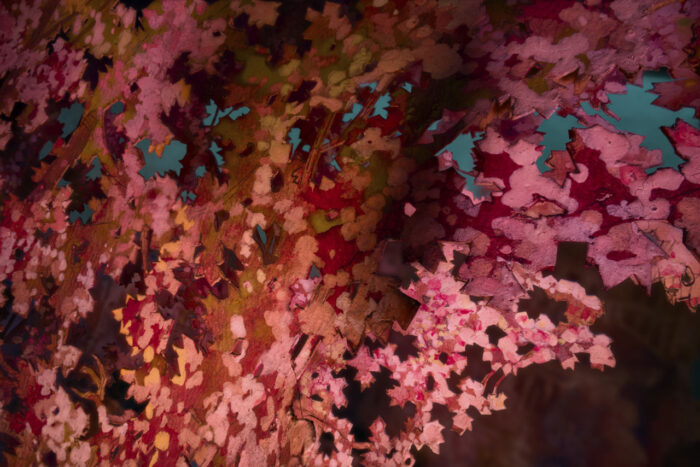 Thomas Demand, Parsifal V, 2026, Pigment print, 39⅜ x 59 inches; 100 x 150 cm, © Thomas Demand, Courtesy the artist and Matthew Marks Gallery