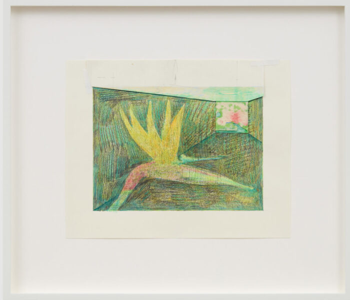 Vijay Masharani, Bird of Paradise, 2026, Graphite, coloured pencil, marker and collage on paper, framed, 34.5 x 39.5 x 3 cm (13 5/8 x 15 1/2 x 1 1/8 inches)