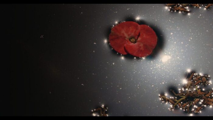 Amar Kanwar, The Peacock's Graveyard, 2023. (Film still) Digital video installation, 7 screens, dimensions variable, 28 mins, 16 sec. Courtesy of the artist and Marian Goodman Gallery